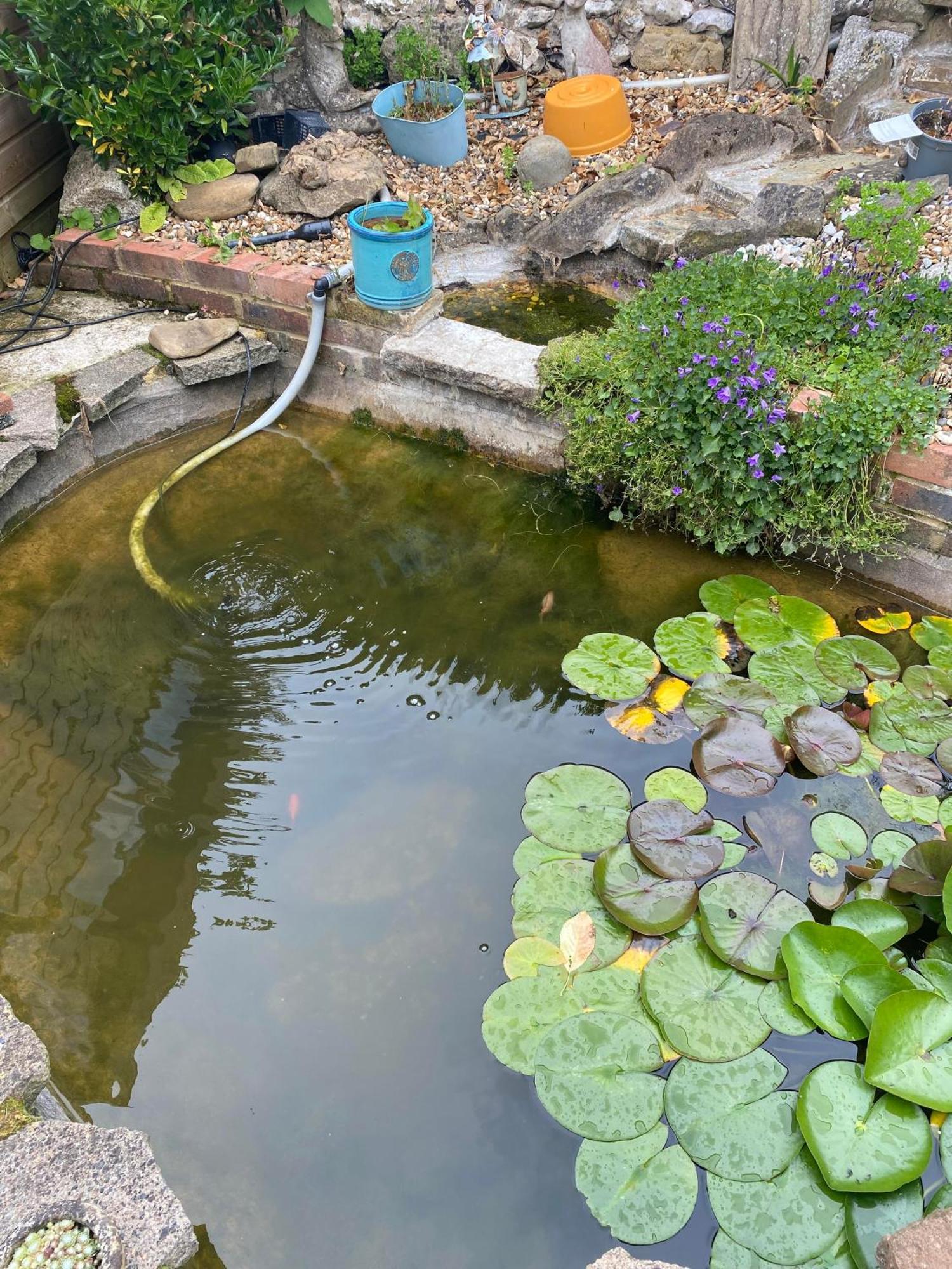 Pond Cottage Пърли Екстериор снимка